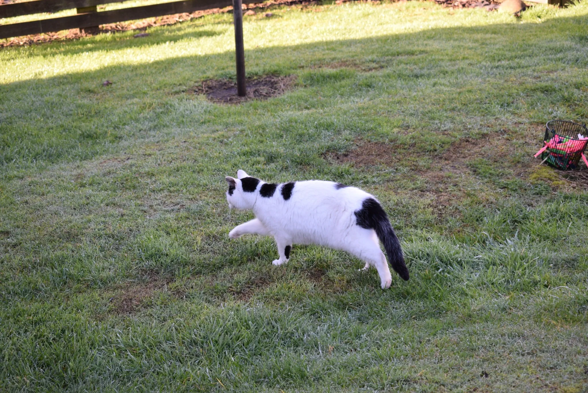 G28 goodbye dear marshall we love you 28 jul 2018 (8)